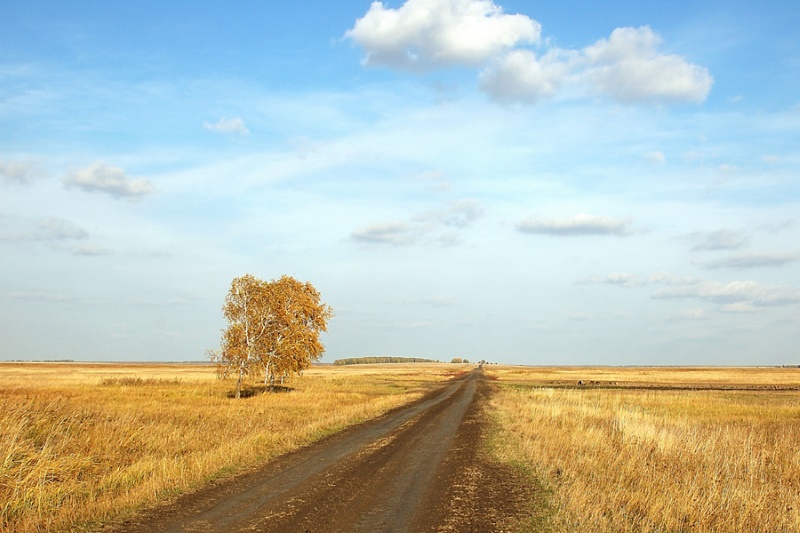 Степь осенью картинки